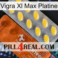 Vigra Xl Max Platinum 42
